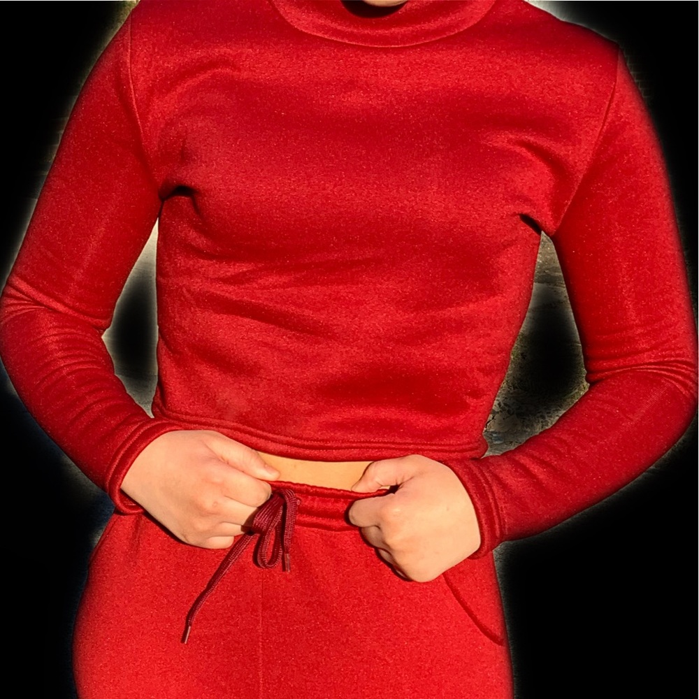 Long Sleeve Turtleneck Croptop